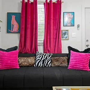 Bayside Safari 1bed 1 Bath Apartment Tampa